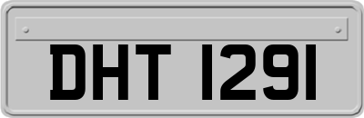 DHT1291