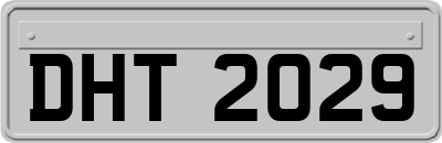 DHT2029
