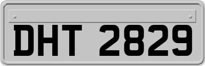 DHT2829