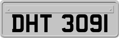 DHT3091