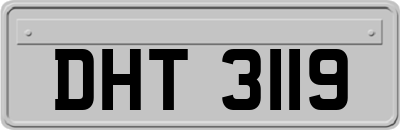 DHT3119