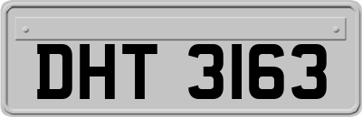 DHT3163
