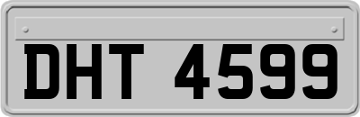 DHT4599