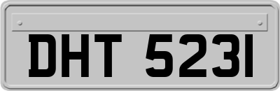 DHT5231