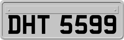 DHT5599
