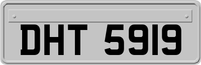 DHT5919