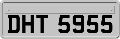 DHT5955