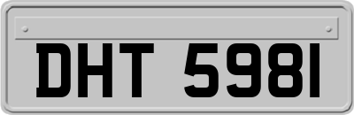 DHT5981