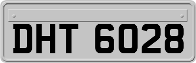 DHT6028