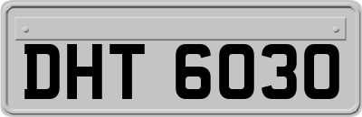 DHT6030