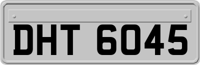 DHT6045