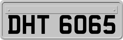DHT6065