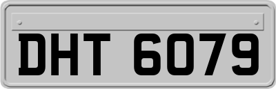 DHT6079