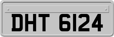 DHT6124