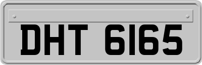 DHT6165