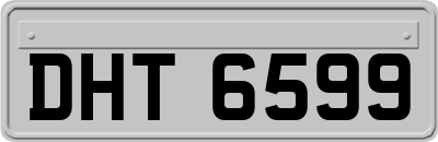 DHT6599