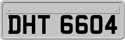 DHT6604