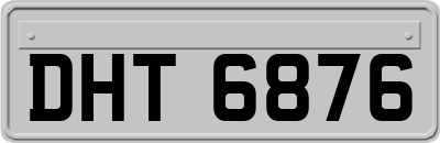 DHT6876