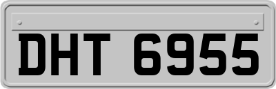 DHT6955