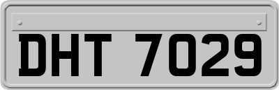 DHT7029