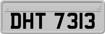 DHT7313