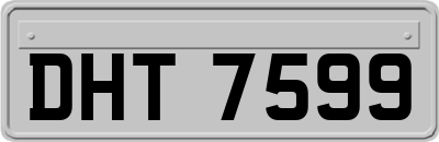 DHT7599