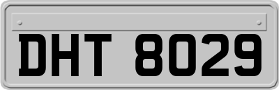 DHT8029