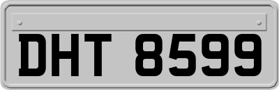 DHT8599