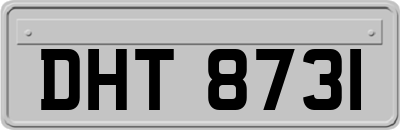 DHT8731