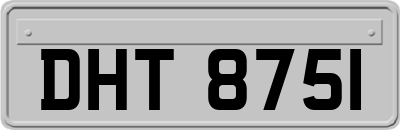 DHT8751