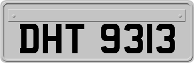 DHT9313