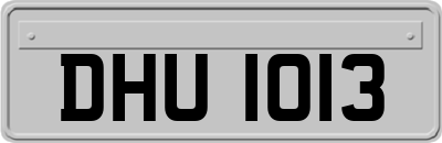 DHU1013