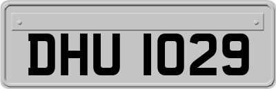 DHU1029