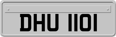 DHU1101