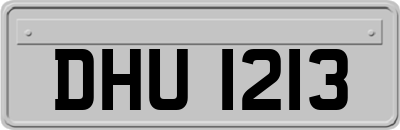 DHU1213