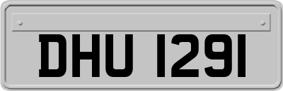 DHU1291
