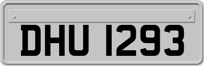 DHU1293