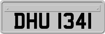 DHU1341