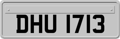 DHU1713