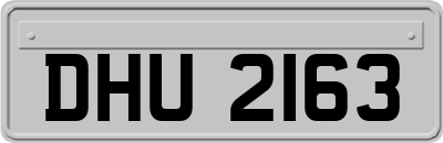 DHU2163