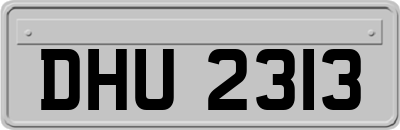 DHU2313