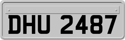 DHU2487