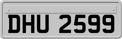 DHU2599