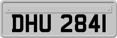 DHU2841