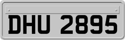 DHU2895