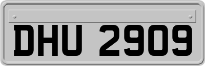 DHU2909