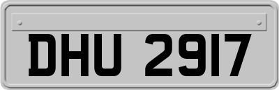 DHU2917