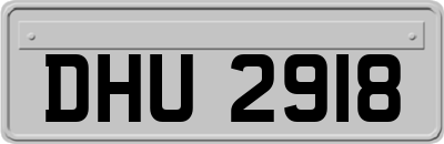 DHU2918