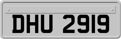 DHU2919