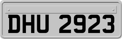 DHU2923